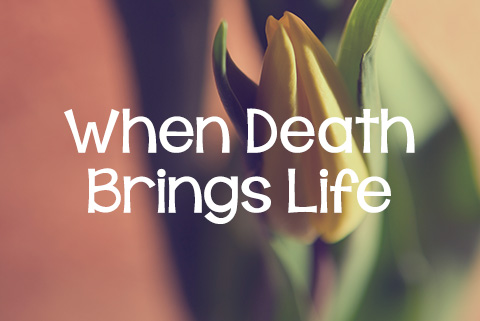 Death Brings Life